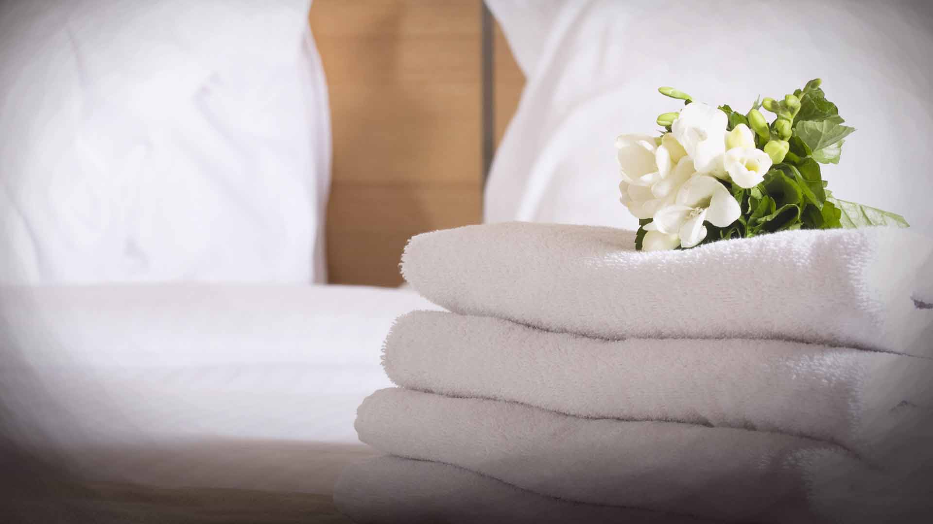 Where will you sleep tonight?